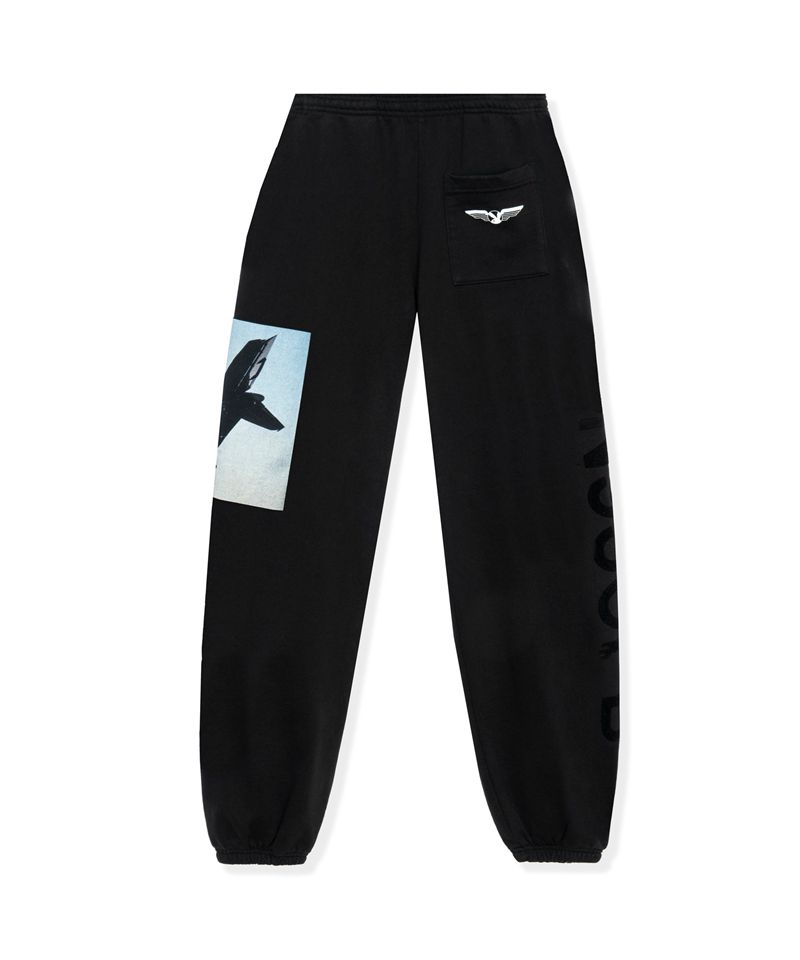 Purple Playboy Aviation Wings N950pb Men's Sweatpants | 06URQCVFT